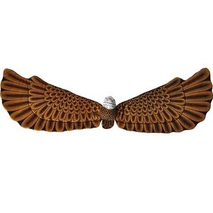 Bald Eagle Kids Plush Wings Costume and Play